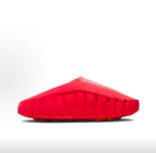 Mind001  Science Department Slides - Red