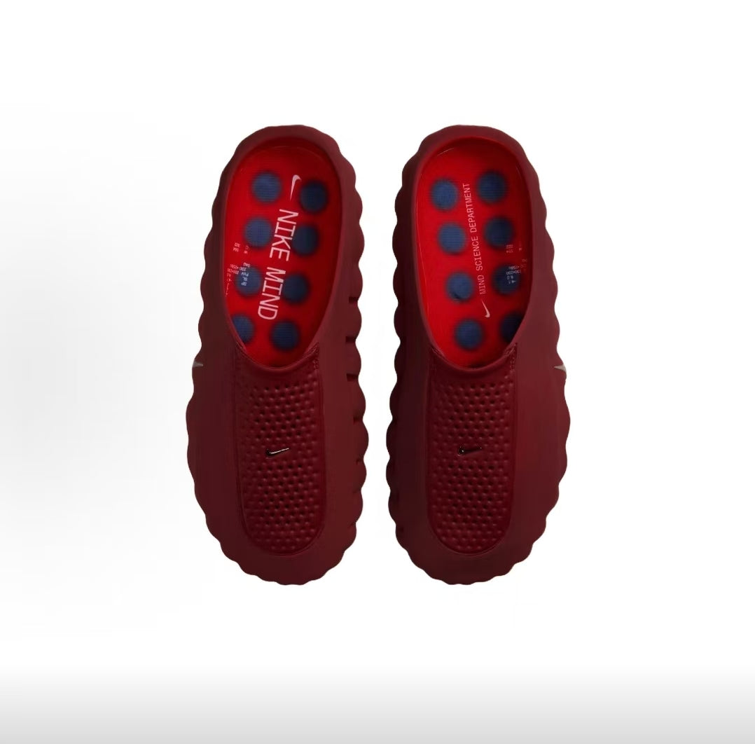 Mind001 Science Department Slides - Dark Red / Navy